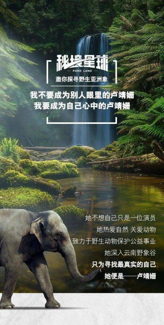 海南自贸港立体式 多元化的国际人脉网络已具雏形
